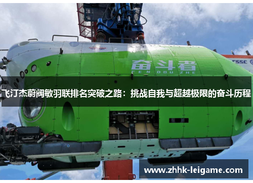 飞汀杰蔚阀敏羽联排名突破之路：挑战自我与超越极限的奋斗历程